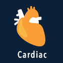 Cardiac