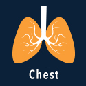 Chest