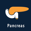 Pancreas