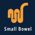 Small Bowel