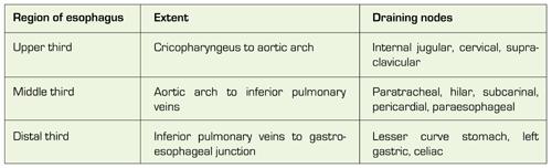 Esophageal Cancer Staging Chart