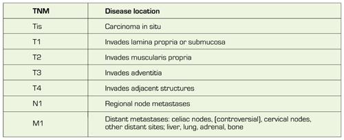 Esophageal Cancer Staging Chart