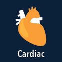 cardiac