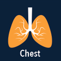 chest