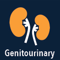 Genitourinary 